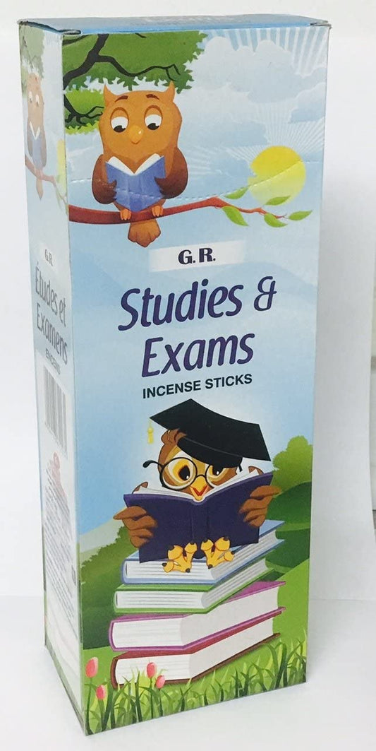 Studies & Exam